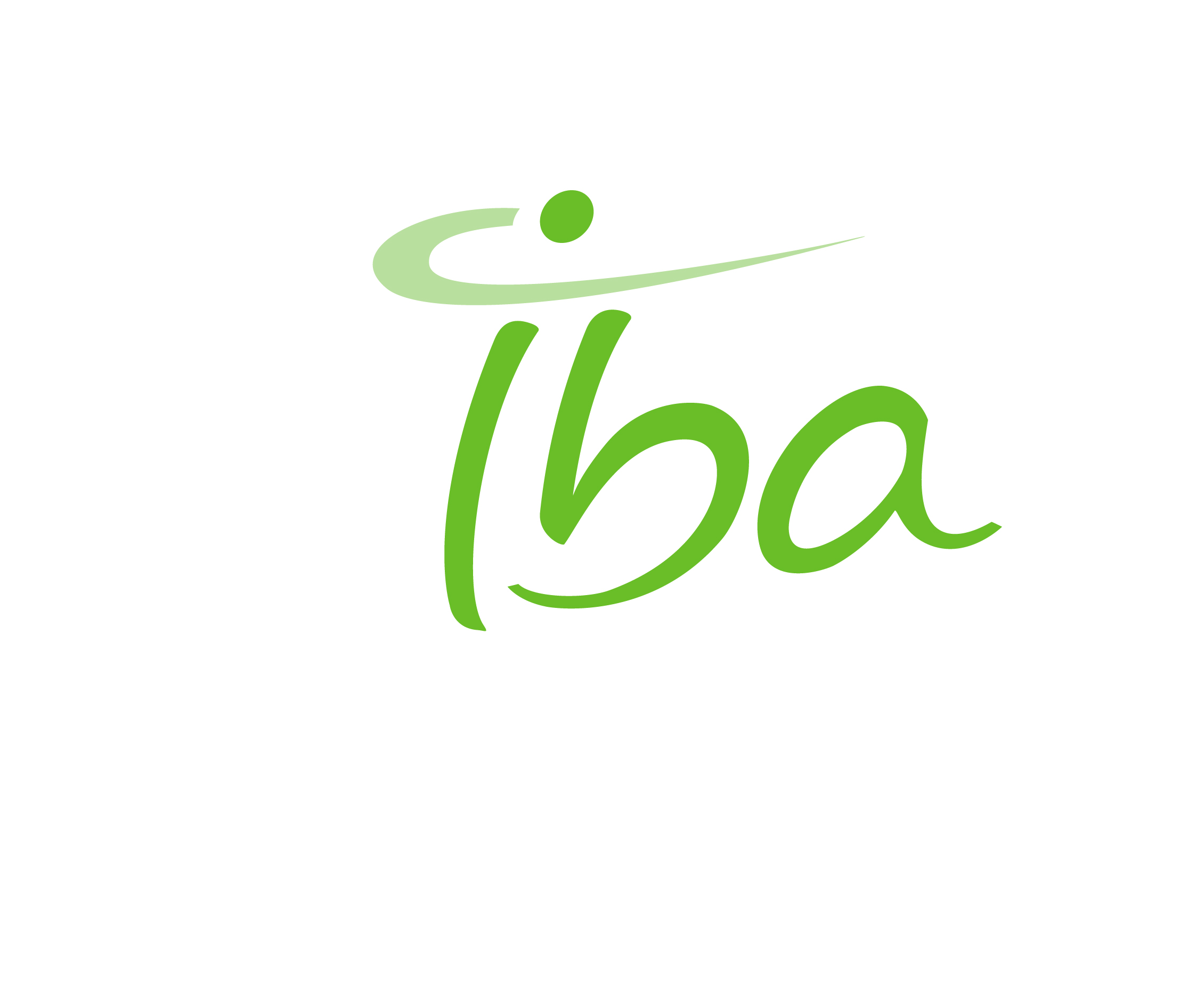 IBA MASTER